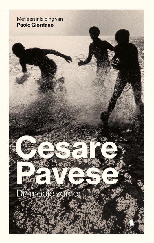 De mooie zomer - Cesare Pavese | Nextbestfoodprocessors.com