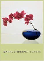 Mapplethorpe Flowers
