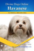 Divine Dogs Online 25 - Havanese