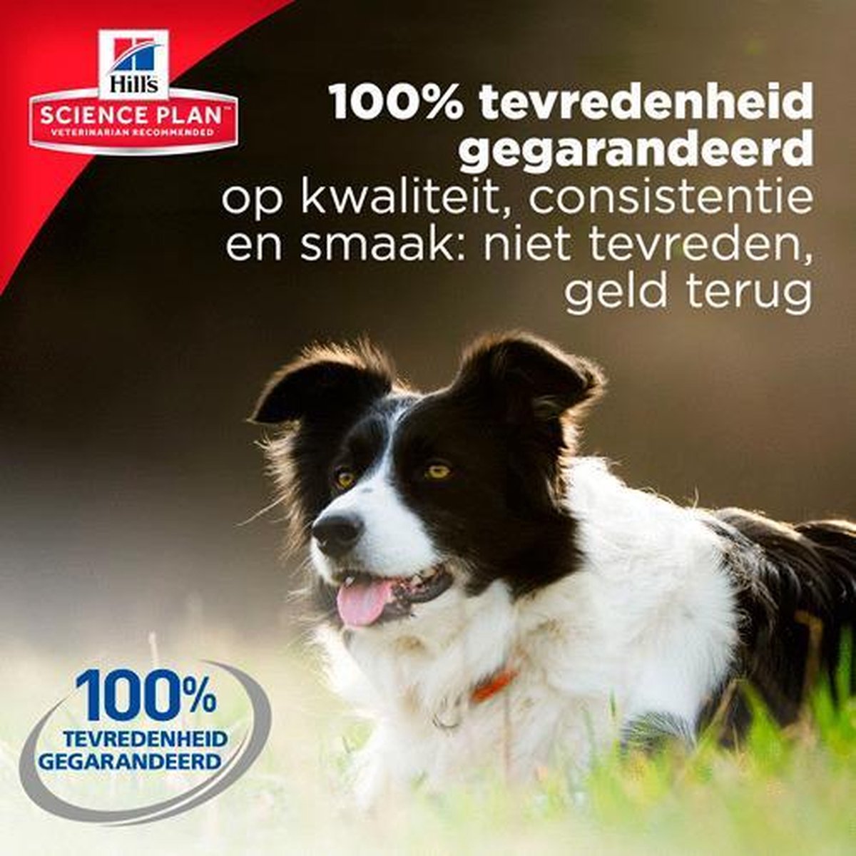 Hill's Canine Adult Advanced Fitness Large Breed Lam/Rijst 12 KG thumbnail 6