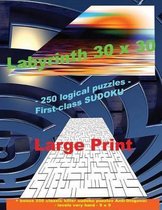 Labyrinth 30 X 30 - 250 Logical Puzzles - First-Class Sudoku