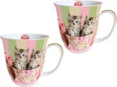 Set van 2 mokken Ambiente Cats is a Box