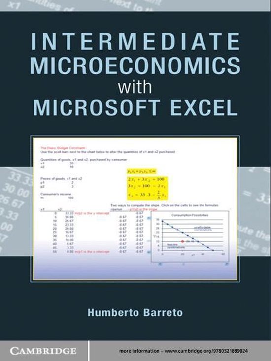 Intermediate Microeconomics with Microsoft Excel - cover