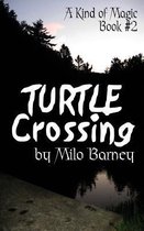 Turtle Crossing