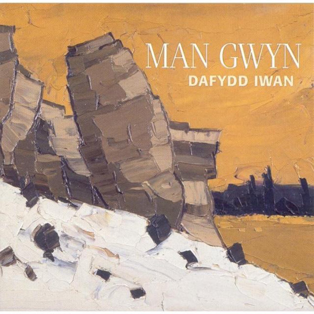 Afbeelding van product Music&Words  Man Gwyn  - Dafydd Iwan