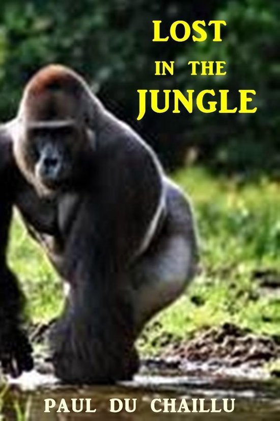 Lost in the Jungle - cover