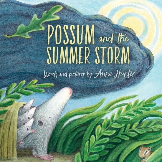 Possum and the Summer Storm - cover