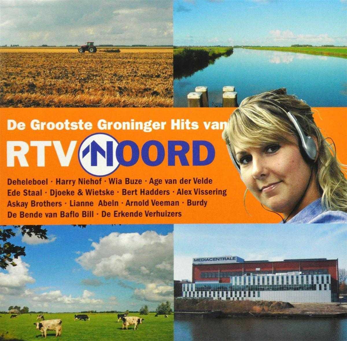De Grootste Groninger Hits Van Rtv Noord-13tr-W/Ede Staal/Wia Buze/Burdy/Ao - various artists