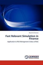 Fast Relevant Simulation in Finance