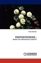 Photosynthesis -