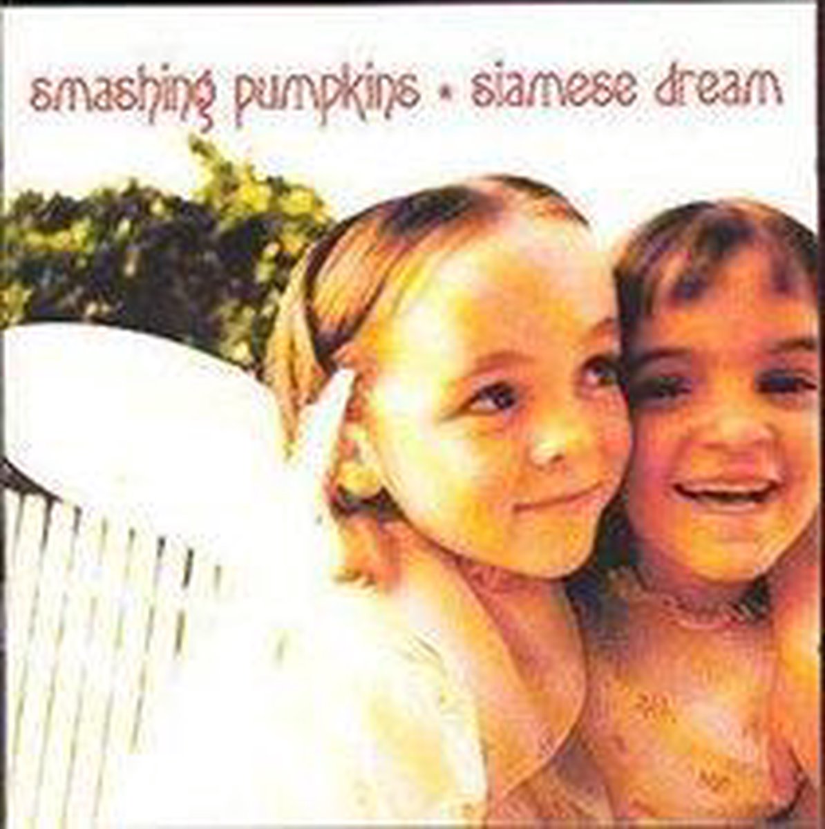 Siamese Dream