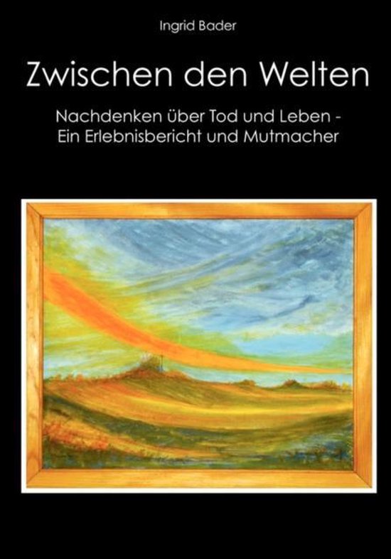 Zwischen den Welten - cover