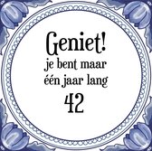 Verjaardag Tegeltje met Spreuk (42 jaar: Geniet! je bent maar één jaar 42! + cadeau verpakking & plakhanger