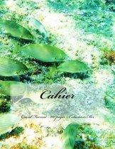 Cahier - Grand Format - 100 pages - Collection Mer
