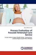 Process Evaluation of Focused Antenatal Care Service