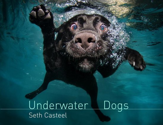 Underwater Dogs - cover
