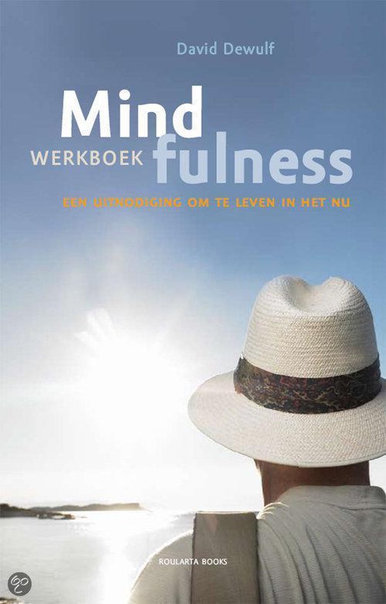 Mindfulness Werkboek David Dewulf Boeken Bol Com