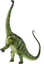Collecta Prehistorie: Diplodocus