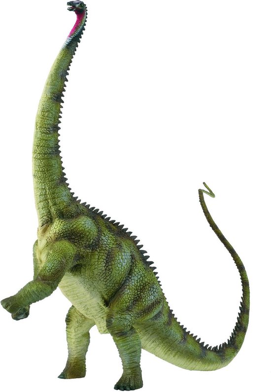 Collecta Prehistorie: Diplodocus | bol.com