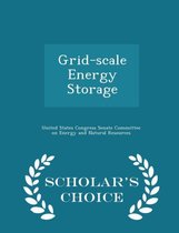 Grid-Scale Energy Storage - Scholar's Choice Edition