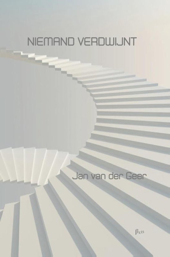 Cover van het boek 'Niemand verdwijnt'