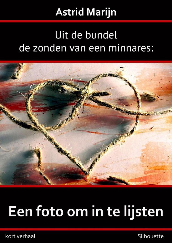 De zonden van een minnares; een foto om in de lijsten - cover