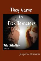 They Came to Pick Tomatoes, the Shelter