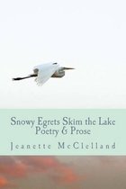 Snowy Egrets Skim the Lake