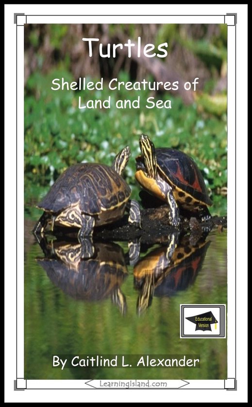 15-Minute Animals - Turtles: Shelled Creatures of Land and S ... - cover
