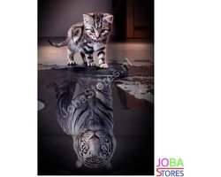 Diamond Painting JobaStores® Kittens-Big Cats 30x40cm - Shop now -  JobaStores