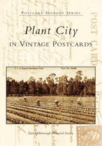 Plant City, Florida in Vintage Postcards