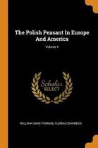The Polish Peasant in Europe and America; Volume 4