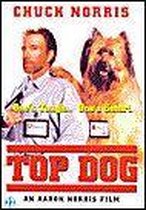 Top Dog