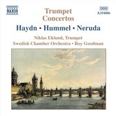 Niklas Eklund, Swedish Chamber Orchestra, Roy Goodman - Trumpet Concertos (CD)