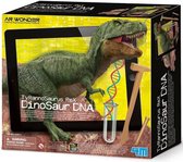 Ensemble d'excavation d'ADN de dinosaure 4 m Tyrannosaurus Rex