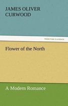 Flower of the North a Modern Romance