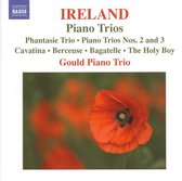 Gould Piano Trio - Piano Trios (CD)