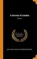 A Survey of London; Volume 1