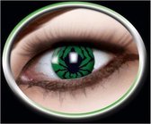 Party lenzen Green spider