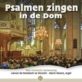 Psalmen zingen in de dom // Niet-ritmische samenzang vanuit de Domkerk te Utrecht - Harm Hoeve, orgel.