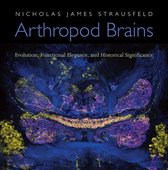 Arthropod Brains - Evolution, Functional Elegance, and Historical Significance