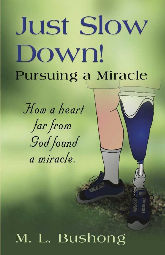 Just Slow Down! Pursuing a Miracle - cover