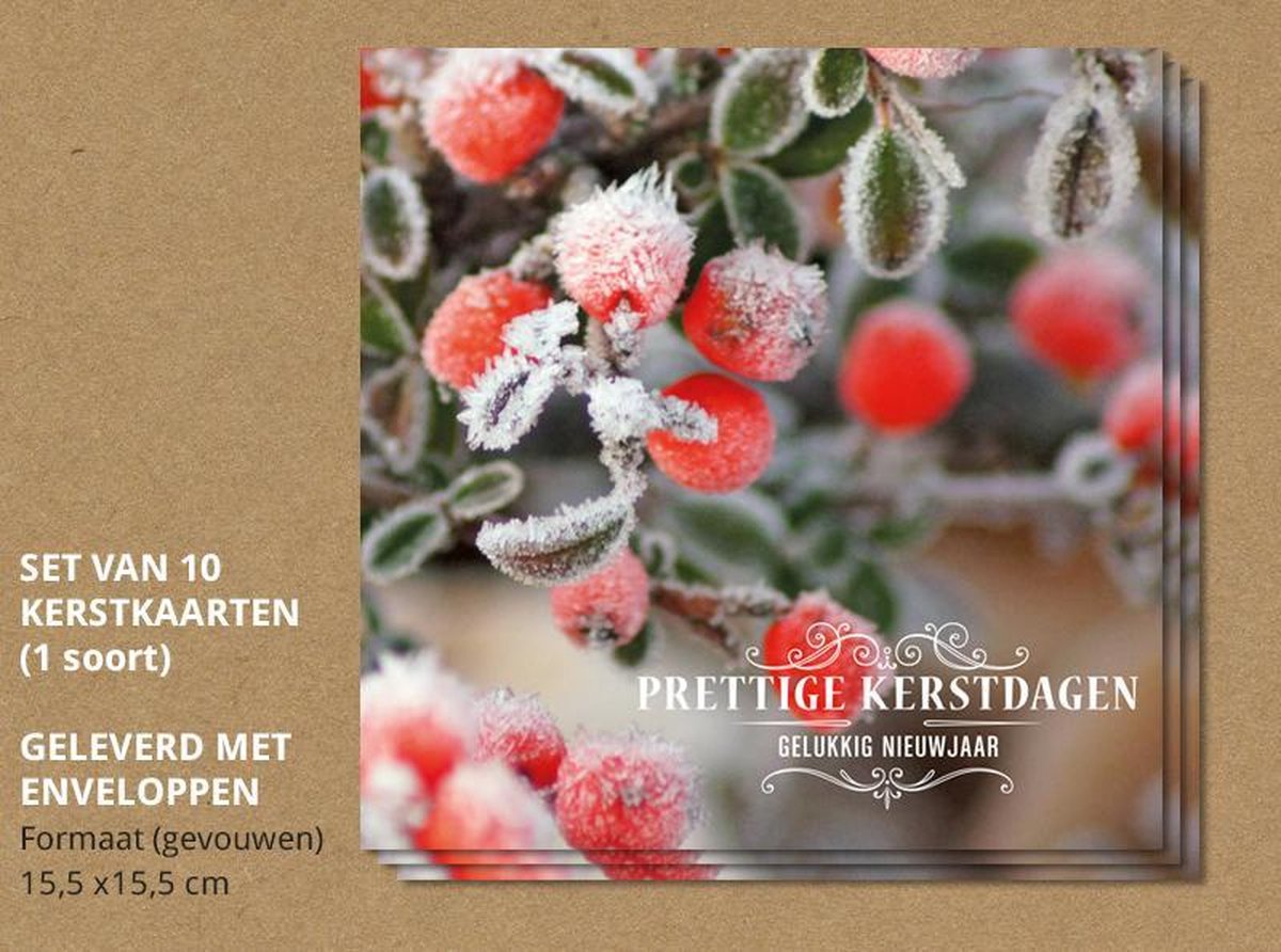 Set van 10 luxe kerstkaarten Besneeuwde bessen