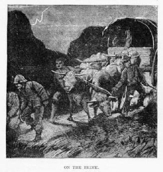 Mother Carey's Chicken