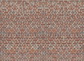Fotobehang Red Bricks - 232 x 315 cm - Multi