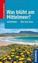 Was blüht am Mittelmeer?