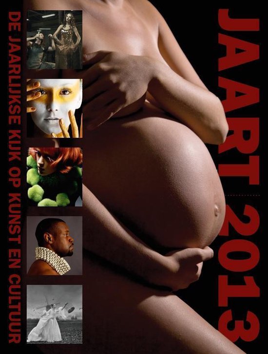 Cover van het boek 'Jaart 2013'