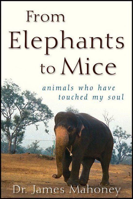 From Elephants to Mice - cover