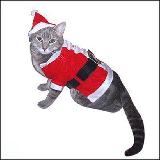 Kerst kostuum voor een kat | bol.com