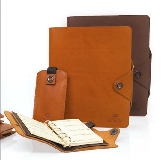 Succes Fred de la Bretoniere Old Classic Bruin Junior | bol.com